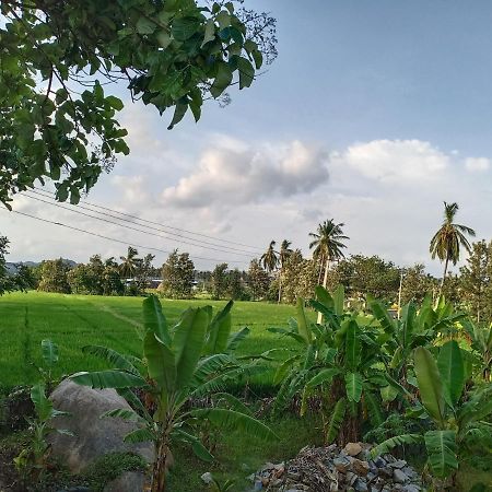 Gopi Plantation Homestay Hampi Dış mekan fotoğraf