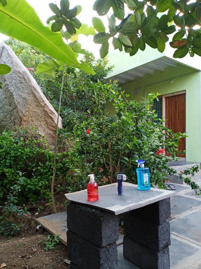 Gopi Plantation Homestay Hampi Dış mekan fotoğraf