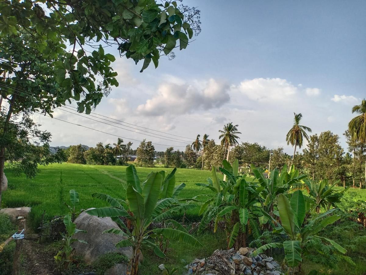 Gopi Plantation Homestay Hampi Dış mekan fotoğraf