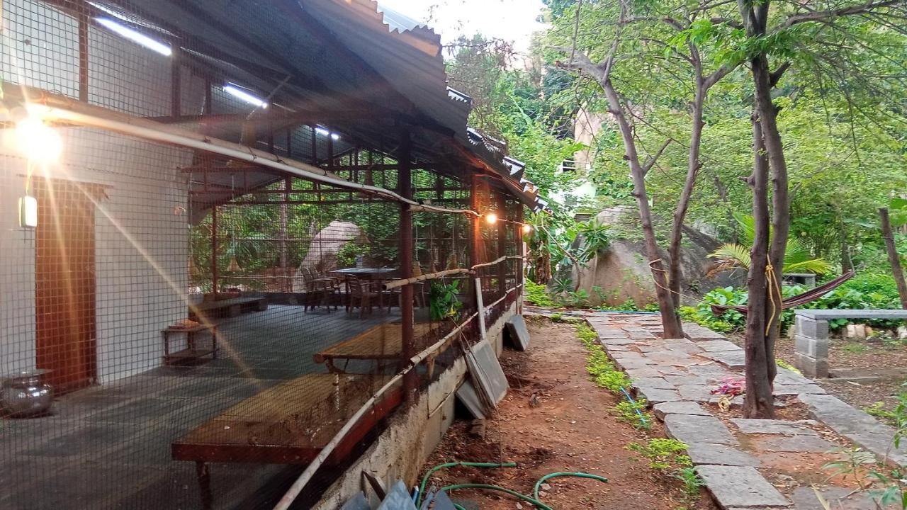 Gopi Plantation Homestay Hampi Dış mekan fotoğraf