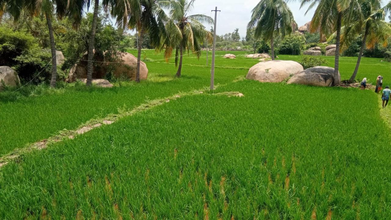 Gopi Plantation Homestay Hampi Dış mekan fotoğraf