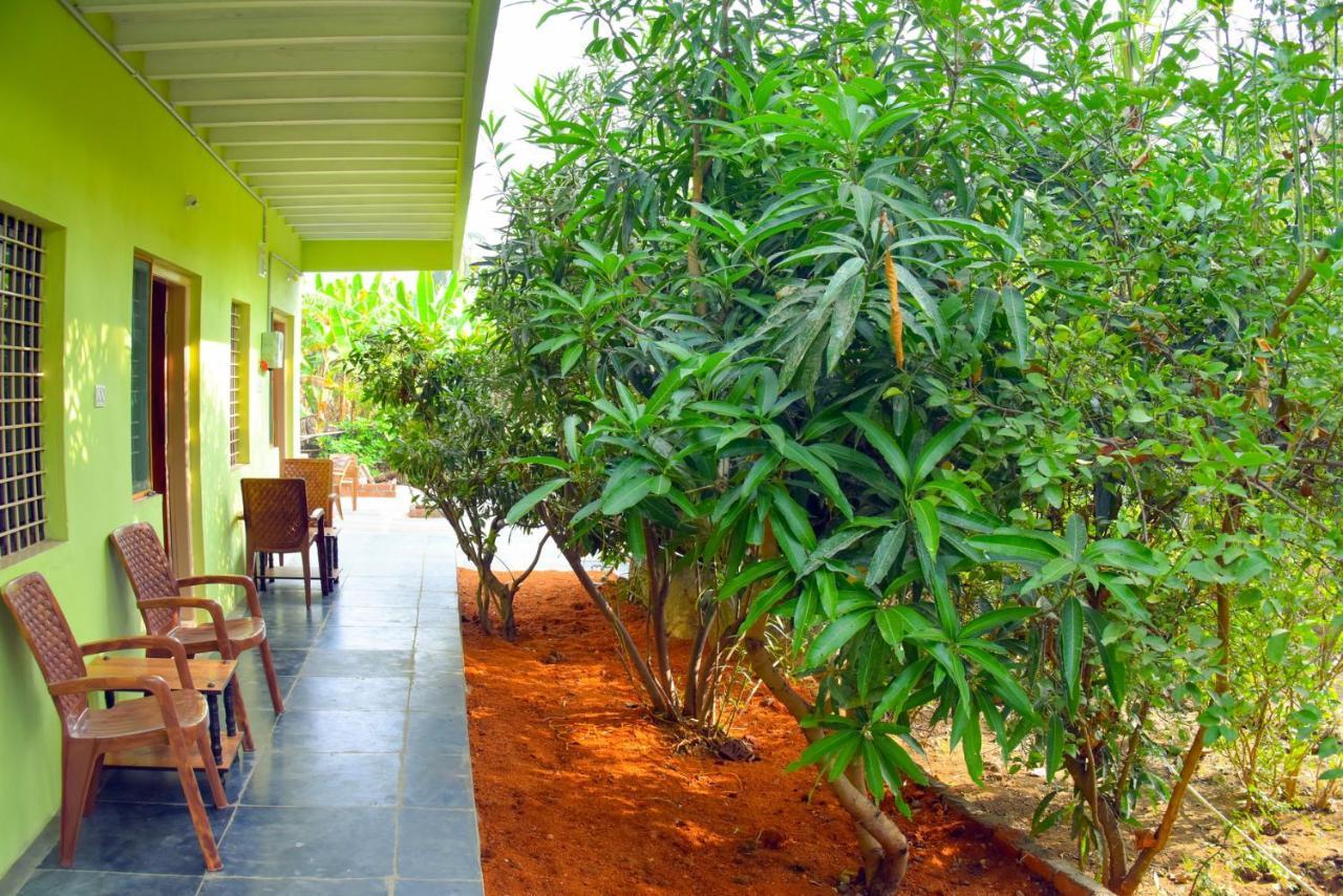 Gopi Plantation Homestay Hampi Dış mekan fotoğraf