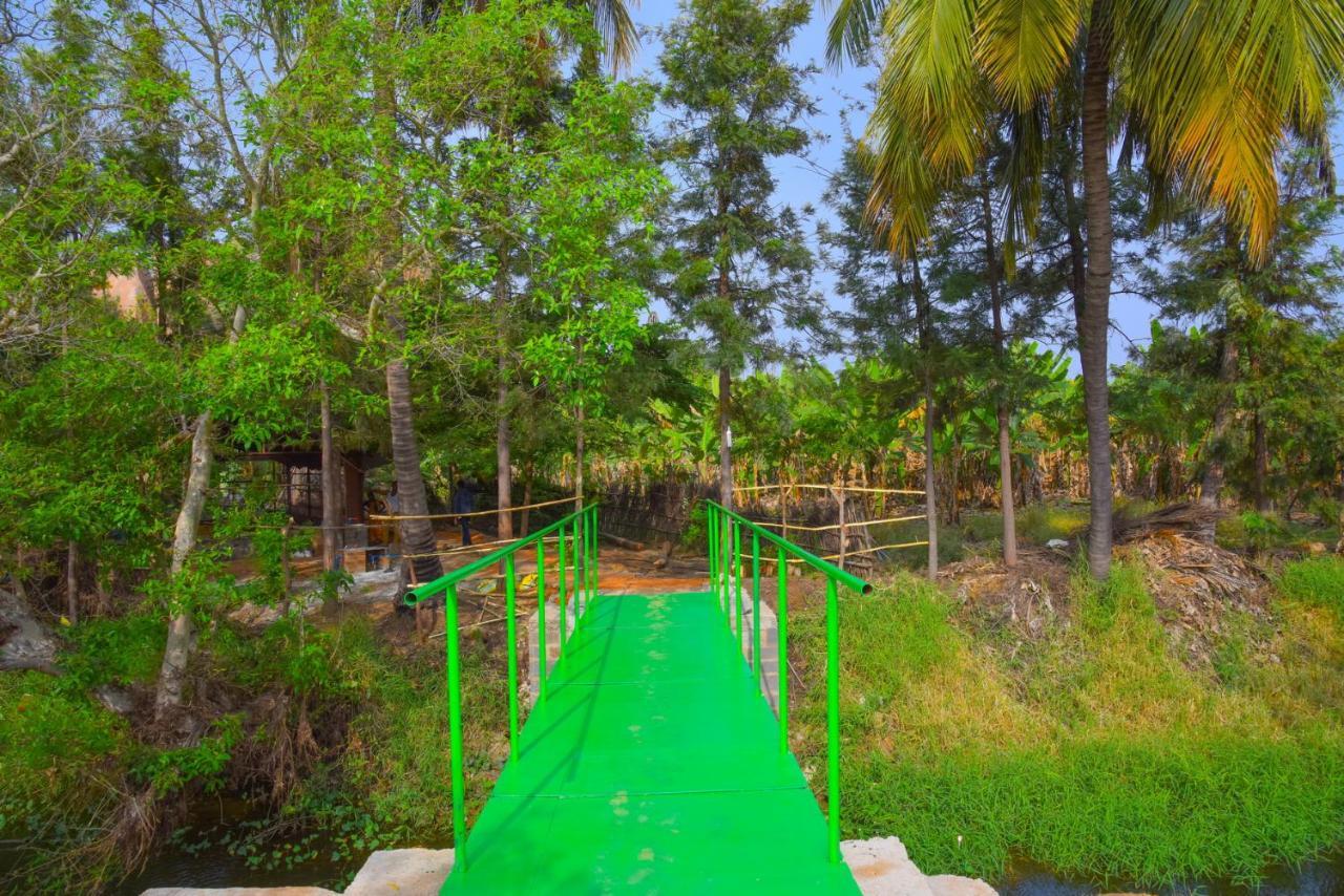 Gopi Plantation Homestay Hampi Dış mekan fotoğraf